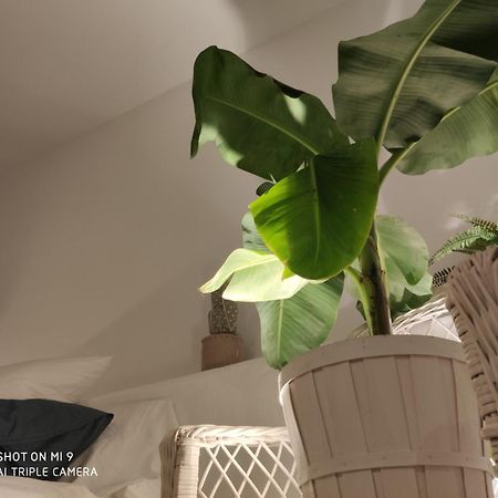 The Best In The Center Of Tarifa Apartment Exterior photo