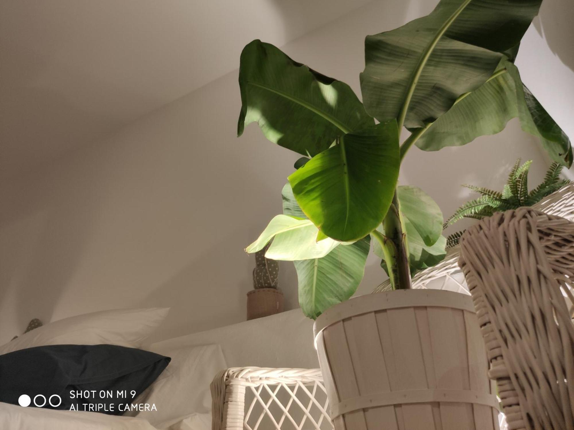 The Best In The Center Of Tarifa Apartment Exterior photo